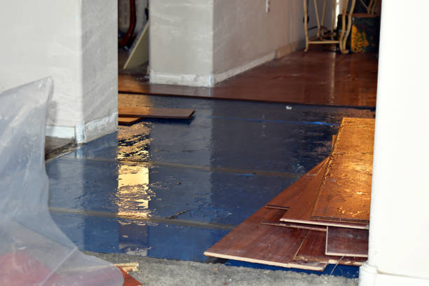 Professional Crawl Space Water Removal technician working in Fulton, MI